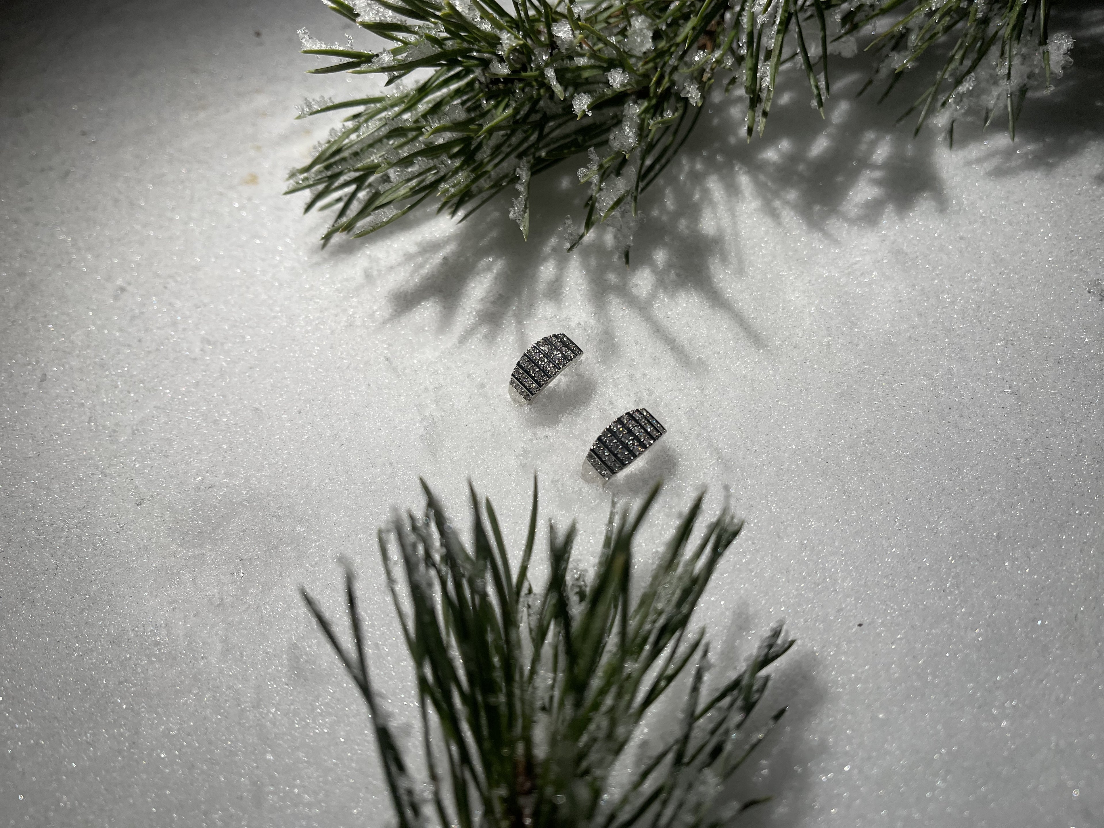 Avrora Earrings Silver
