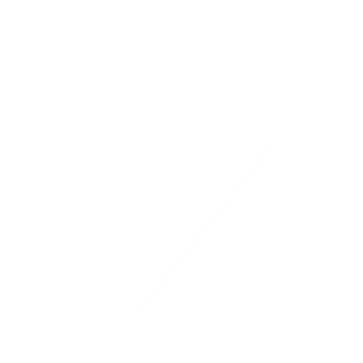 Check Icon